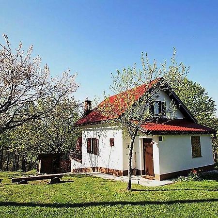 Holiday Home Coprnicka Hisa Skrad Ngoại thất bức ảnh